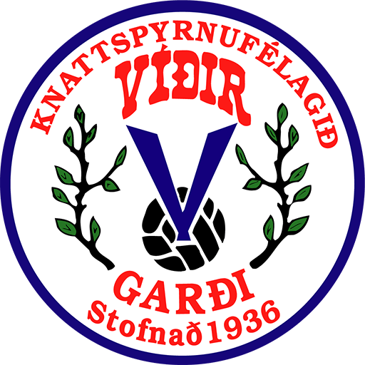 Knattspyrnufélagið Víðir